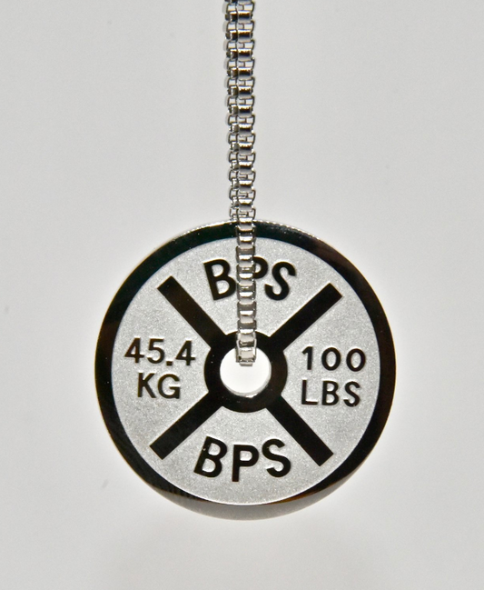 BP SS large plate necklace